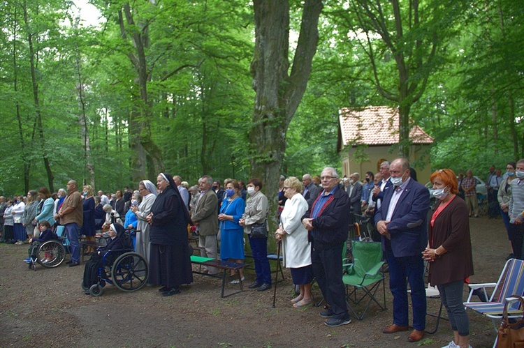 Odpust Matki Bożej Uzdrowienia Chorych w Wejherowie 2020 r.