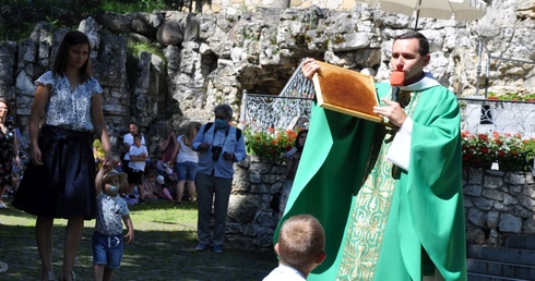 Pszczoły, praca i miód