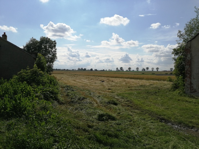 EDK Żychlin