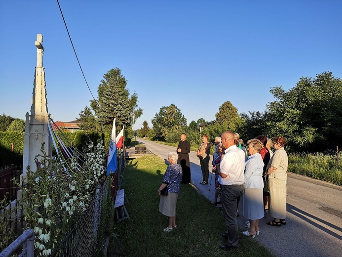 Pół wieku bożydarskiej róży