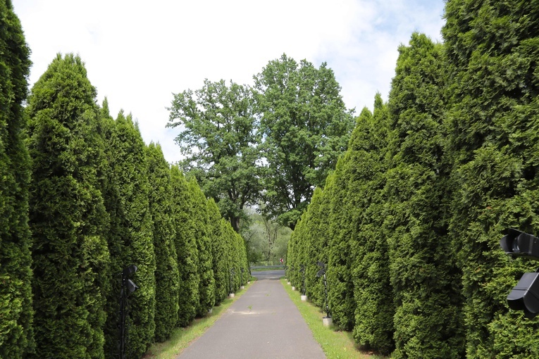 Kościół w Rzepienniku Strzyżewskim i jego otoczenie