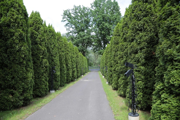 Kościół w Rzepienniku Strzyżewskim i jego otoczenie
