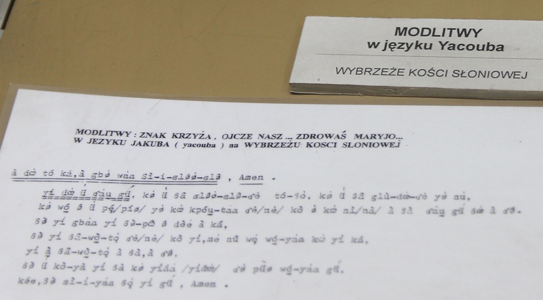 Odwiedź wieżę katedry wrocławskiej