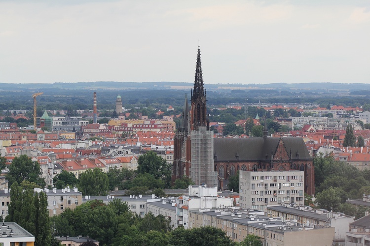 Odwiedź wieżę katedry wrocławskiej