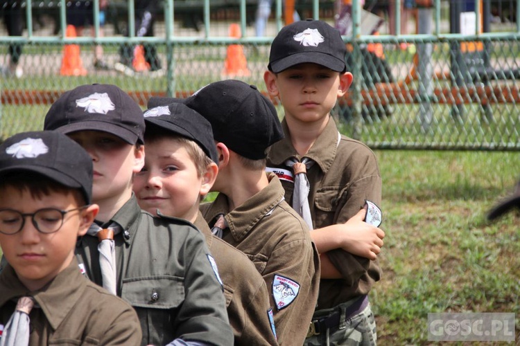 Kolonia zuchowa zielongórskiego ZHR w m. Długie k. Strzelec Krajeńskich