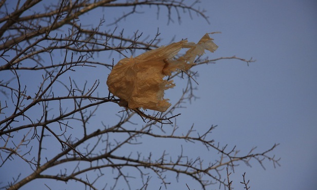 Sukces zakazu plastikowych toreb na Wyspie Księcia Edwarda w Kanadzie