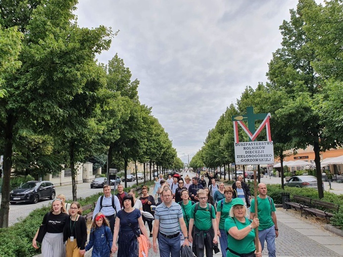 37. Piesza Pielgrzymka z Otynia na Jasną Górę