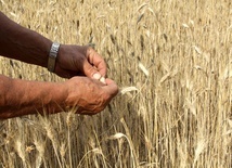 Gdybyście zrozumieli