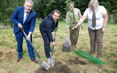 Kolejny sad zasadzono na terenie Nadleśnictwa Skierniewice.