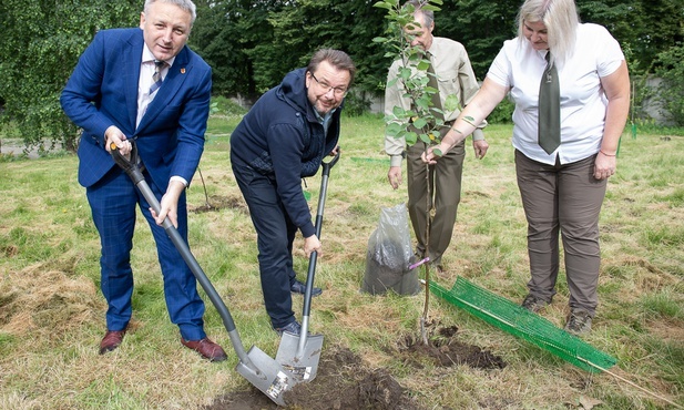 Kolejny sad zasadzono na terenie Nadleśnictwa Skierniewice.