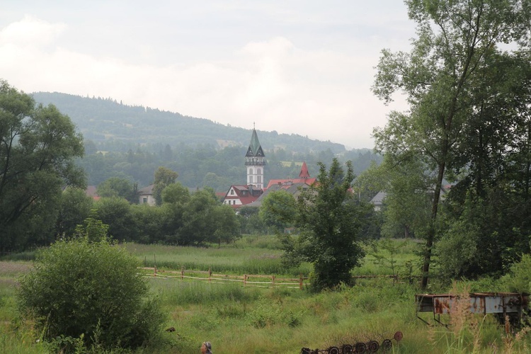 Cisiec i Kamesznica u Matki Bożej Szkaplerznej na Grapce