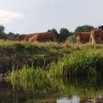 Kajakiem dla Domu Samotnej Matki