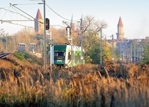 Koleje Dolnośląskie przewiozły w 2019 r. aż 14 mln pasażerów!