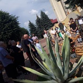 Mężczyźni odmawiali różaniec przy krzyżu misyjnym obok kościoła parafialnego w Dębicy - Latoszynie.