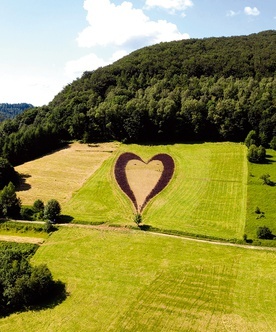 Serce z krzewów na łące nad Jeziorem Myczkowieckim. Właściciel pola zadedykował je swej zmarłej żonie.
16.07.2020 Solina