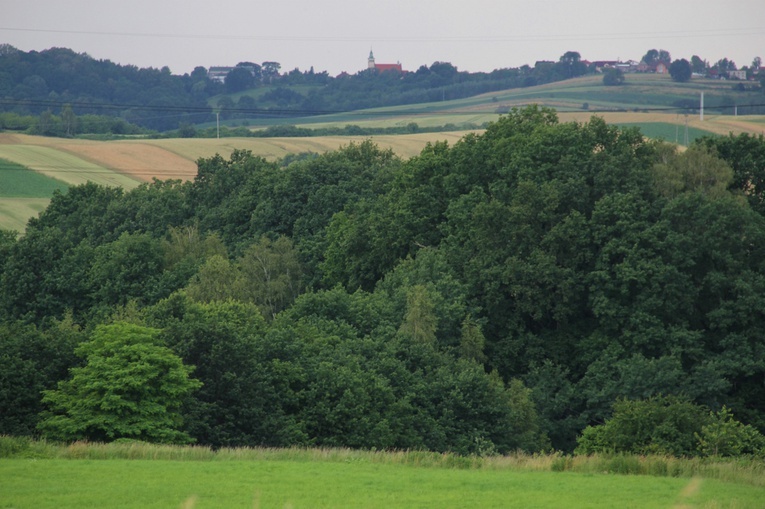 Grodzisko w Lubomi