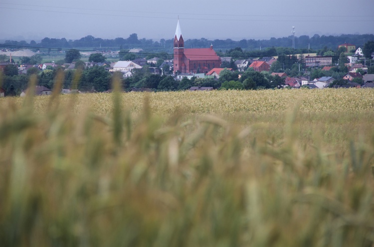 Grodzisko w Lubomi