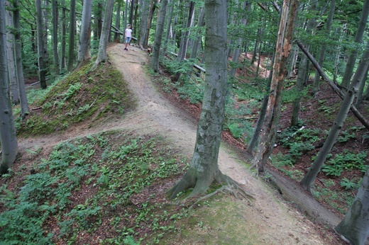 Grodzisko w Lubomi