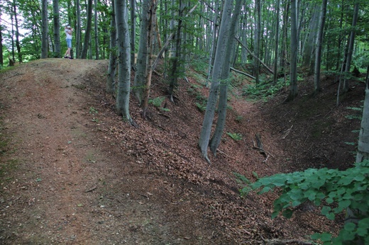 Grodzisko w Lubomi