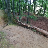 Grodzisko w Lubomi