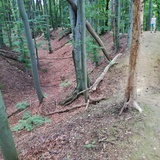 Grodzisko w Lubomi