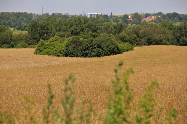 Schrony bojowe - Piekary Śl. i Dobieszowice