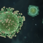 SARS-CoV-2 stosuje kamuflaż, żeby komórki go nie rozpoznały