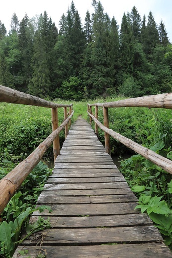 Bieszczady. Dolina Sanu