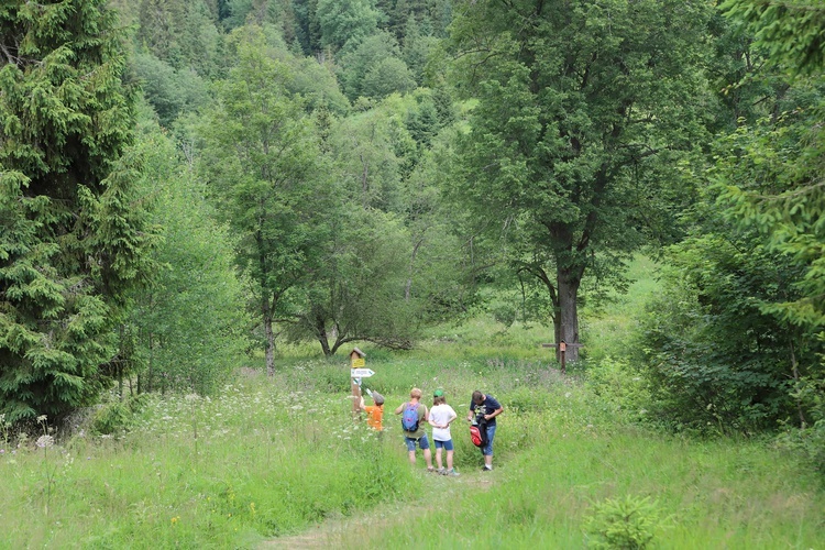 Bieszczady. Dolina Sanu