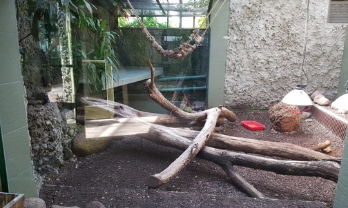 Sosnowiec. Powstanie nowe Egzotarium
