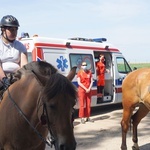 XI Konna Pielgrzymka z Toszka do Goja