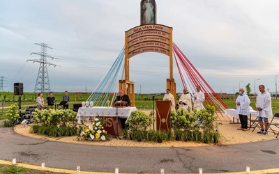 Rocznica Światowych Dni Młodzieży na Campus Misericordiae