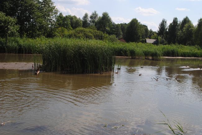 Zaklików. Wypoczynek nad zalewem