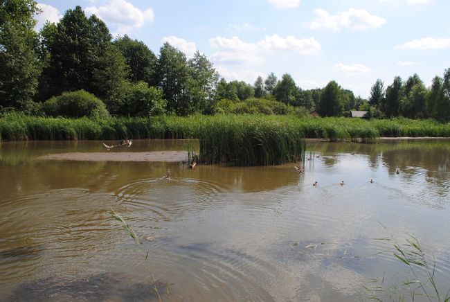 Zaklików. Wypoczynek nad zalewem