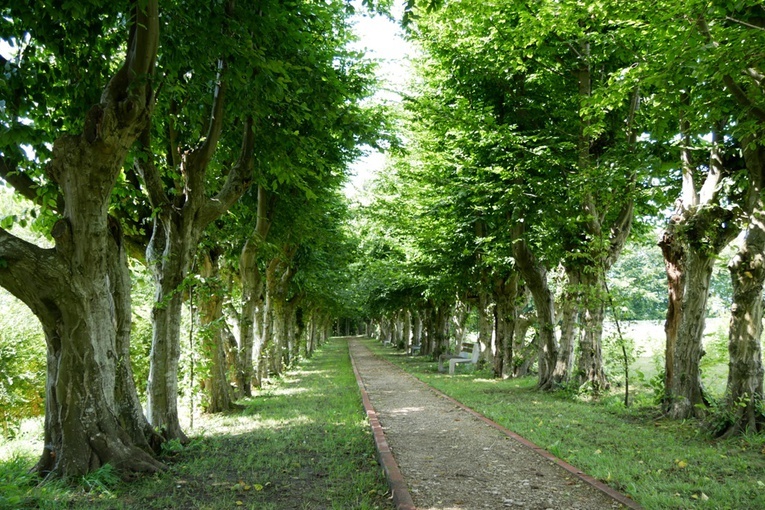 Powstaje "Zacisze św. Benedykta" w Żarnowcu