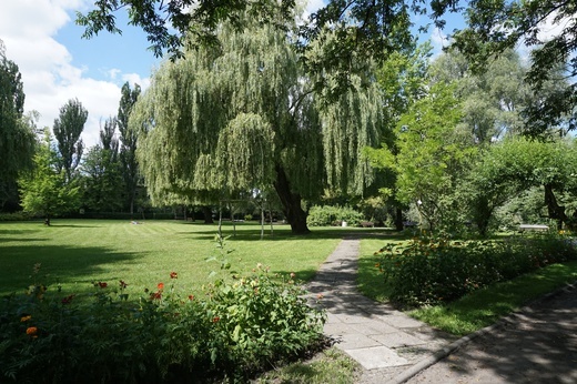 Ogród botaniczny w Zabrzu