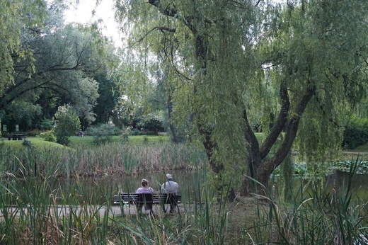 Ogród botaniczny w Zabrzu