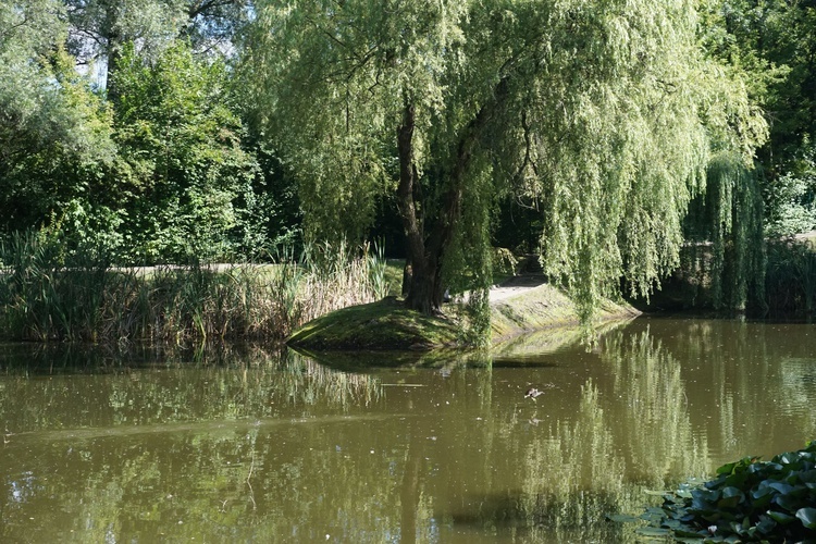 Ogród botaniczny w Zabrzu