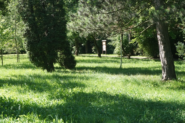 Ogród botaniczny w Zabrzu