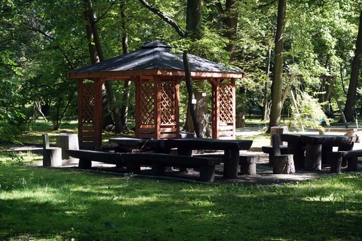 Ogród botaniczny w Zabrzu