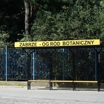 Ogród botaniczny w Zabrzu