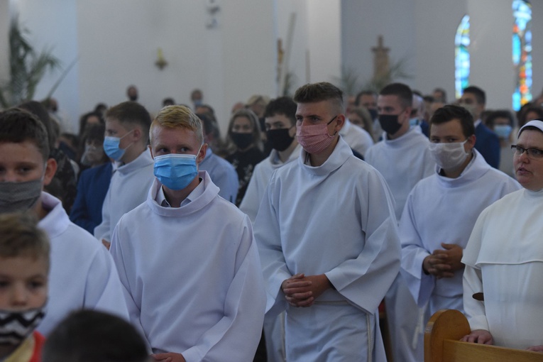 Kardynał w Krużlowej