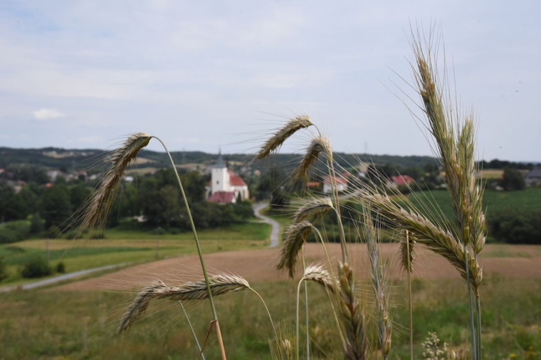 Kościół w Starym Wiśniczu