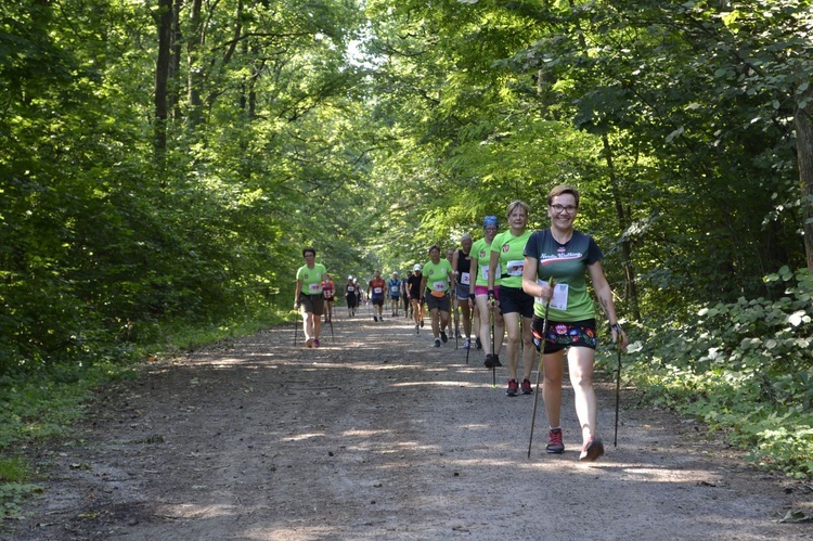 Mistrzostwa Tarnobrzega w Nordic Walking