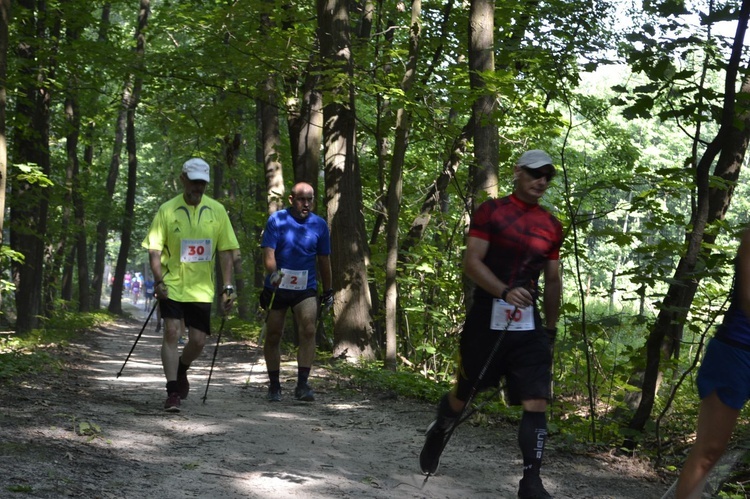 Mistrzostwa Tarnobrzega w Nordic Walking