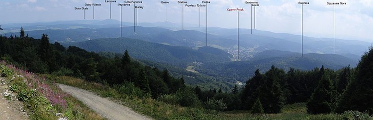 Panorama z Jaworzyny Krynickiej