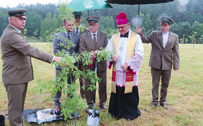 ◄	Sadzonka upamiętniająca Adama Loreta.