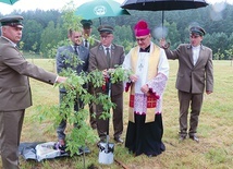 ◄	Sadzonka upamiętniająca Adama Loreta.