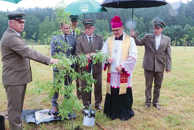 ◄	Sadzonka upamiętniająca Adama Loreta.