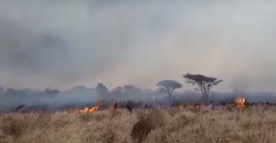 Tsavo w płomieniach